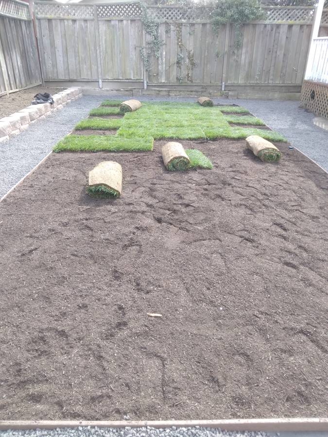 Professional landscaping work by Gardener Gomez - Project 3