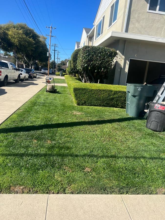Professional landscaping work by Gardener Gomez - Project 5